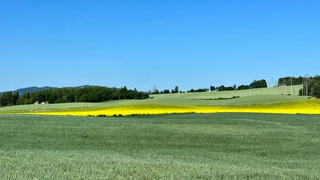 Frodige jorder i Furnes, Ringsaker (Foto: Frode Skår)